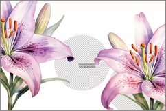 Pink Lily flower PNG clipart|Watercolor lillie| floral Product Image 2