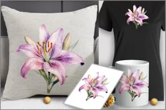 Pink Lily flower PNG clipart|Watercolor lillie| floral Product Image 3