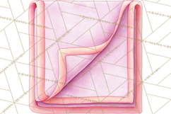 Baby Nursery Clipart PNG, Pink Purple Baby Shower Decor Product Image 2