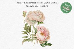 Pink Peonies Vase Flower Wreath Clipart PNG Scrapbooking Art Nursery Watercolor Transparent wedding invitation shirt designs sublimation romantic digital bloom watercolor floral wreath, flowers clipart, white pink peonies nursery, spring, wedding invitati