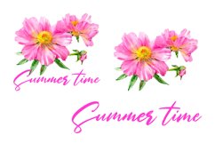 Peony watercolor - sublimation design Product Image 3
