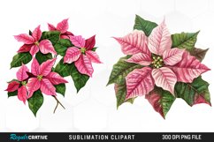 Pink Poinsettia Plant Graphics Clipart Product Image 1