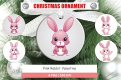 Ornament Pink Rabbit Valentine Product Image 1