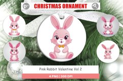 Ornament Pink Rabbit Valentine Product Image 1