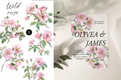 Watercolor Floral Clipart, Wild Rose Flowering Twigs Clipart Product Image 2