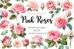 Pink Roses Watercolor Clipart