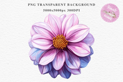Pink Spring Dahlia Flowers Daisies Pansies Lilies Snapdragon PNG Scrapbooking Art Watercolor Transparent wedding invitation shirt designs romantic digital bloom