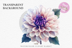 Pink Spring Dahlia Flowers Daisies Pansies Lilies Snapdragon PNG Scrapbooking Art Watercolor Transparent wedding invitation shirt designs romantic digital bloom