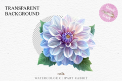 Pink Spring Dahlia Flowers Daisies Pansies Lilies Snapdragon PNG Scrapbooking Art Watercolor Transparent wedding invitation shirt designs romantic digital bloom