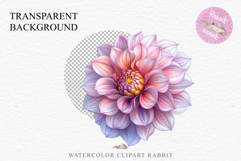 Pink Spring Dahlia Flowers Daisies Pansies Lilies Snapdragon PNG Scrapbooking Art Watercolor Transparent wedding invitation shirt designs romantic digital bloom