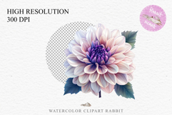 Pink Spring Dahlia Flowers Daisies Pansies Lilies Snapdragon PNG Scrapbooking Art Watercolor Transparent wedding invitation shirt designs romantic digital bloom