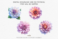 Pink Spring Dahlia Flowers Daisies Pansies Lilies Snapdragon PNG Scrapbooking Art Watercolor Transparent wedding invitation shirt designs romantic digital bloom