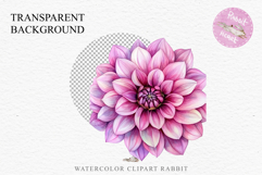 Pink Spring Dahlia Flowers Daisies Pansies Lilies Snapdragon PNG Scrapbooking Art Watercolor Transparent wedding invitation shirt designs romantic digital bloom