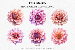 Pink Spring Dahlia Flowers Daisies Pansies Lilies Snapdragon PNG Scrapbooking Art Watercolor Transparent wedding invitation shirt designs romantic digital bloom