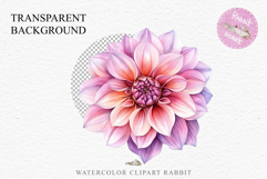 Pink Spring Dahlia Flowers Daisies Pansies Lilies Snapdragon PNG Scrapbooking Art Watercolor Transparent wedding invitation shirt designs romantic digital bloom
