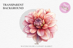 Pink Spring Dahlia Flowers Daisies Pansies Lilies Snapdragon PNG Scrapbooking Art Watercolor Transparent wedding invitation shirt designs romantic digital bloom
