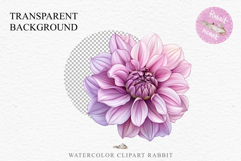 Pink Spring Dahlia Flowers Daisies Pansies Lilies Snapdragon PNG Scrapbooking Art Watercolor Transparent wedding invitation shirt designs romantic digital bloom