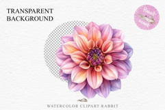 Pink Spring Dahlia Flowers Daisies Pansies Lilies Snapdragon PNG Scrapbooking Art Watercolor Transparent wedding invitation shirt designs romantic digital bloom