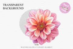 Pink Spring Dahlia Flowers Daisies Pansies Lilies Snapdragon PNG Scrapbooking Art Watercolor Transparent wedding invitation shirt designs romantic digital bloom