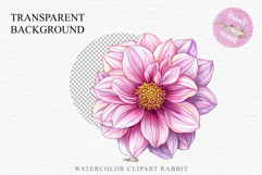Pink Spring Dahlia Flowers Daisies Pansies Lilies Snapdragon PNG Scrapbooking Art Watercolor Transparent wedding invitation shirt designs romantic digital bloom