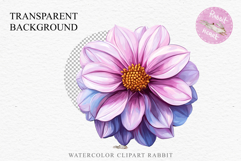Pink Spring Dahlia Flowers Daisies Pansies Lilies Snapdragon PNG Scrapbooking Art Watercolor Transparent wedding invitation shirt designs romantic digital bloom