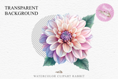 Pink Spring Dahlia Flowers Daisies Pansies Lilies Snapdragon PNG Scrapbooking Art Watercolor Transparent wedding invitation shirt designs romantic digital bloom