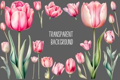 Pink Watercolor Tulip Clipart