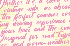 Pinkan Twistera - Modern Brush Font Type Product Image 11