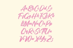 Pinkan Twistera - Modern Brush Font Type Product Image 13