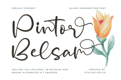 Pintor Belsam - Quirky Handwritten Font Product Image 1