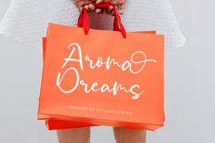 Pintor Belsam - Quirky Handwritten Font Product Image 5