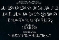 Pipi Designer Product Image 8