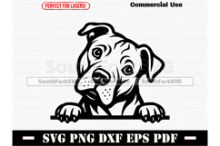 Peeking Pitbull Dog SVG PNG DXF EPS PDF Product Image 1