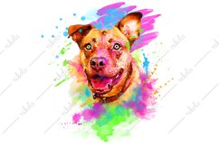 Pitbull Watercolor Sublimation Clipart PNG JPG Product Image 1