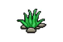 Pixel art cactus nature plant graphic vector Product Image 1