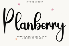 Planberry Product Image 1
