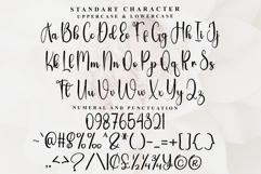 Planberry Product Image 4