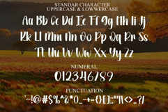 Planberry Product Image 7