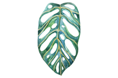 Watercolor Tropical Houseplant Leaves Monstera Product Image 5
