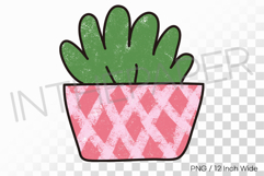 Net Pattern Pink Pot Rich Dense Succulent PNG Plant Clipart Product Image 1