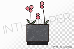 Black Square Vase Pink Blossoms on Twigs PNG Plant Clipart Product Image 1