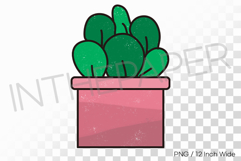 Square Pink Pot Rounded Layered Succulent PNG Plant Clipart Product Image 1