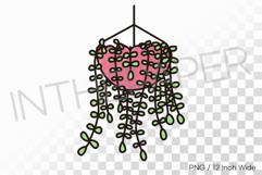 Hanging Pink Basket Long Cascading Vines PNG Plant Clipart Product Image 1