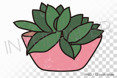 Sprawling Rich Succulent Pink Pot PNG Plant Clipart Illust Product Image 1