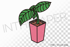 Square Pink Pot Single Stem Plant PNG Succulent Clipart Product Image 1