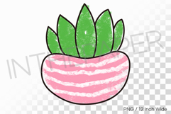 Plump Succulent in Pink Striped Pot PNG Plant Clipart Illust Product Image 1