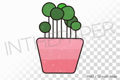 Round Stem Plant Pink Gradient Pot PNG Succulent art Illust Product Image 1