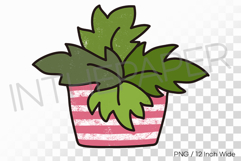 White Striped Pink Pot Lush Green Leaves PNG Succulent art Product Image 1