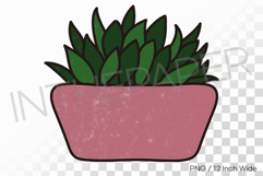 Wide Pink Bowl Lush Dense Succulent PNG Plant Clipart Illust Product Image 1