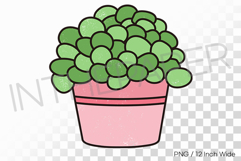 Light Pink Pot Full Round Pearl Succulent PNG Plant Clipart Product Image 1